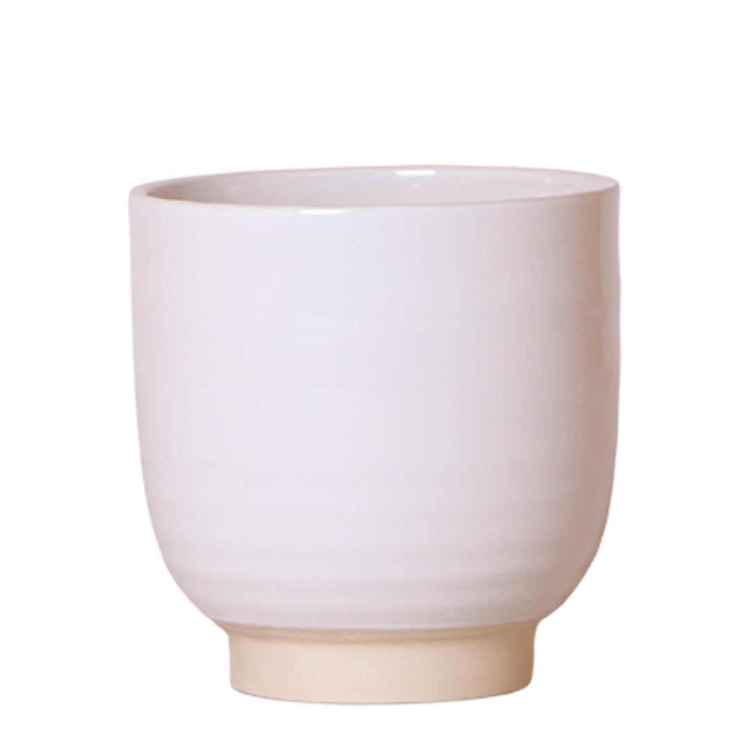 Kolibri Home | Glazed flower pot - White ceramic ornamental pot with gloss-Plant-Botanicly