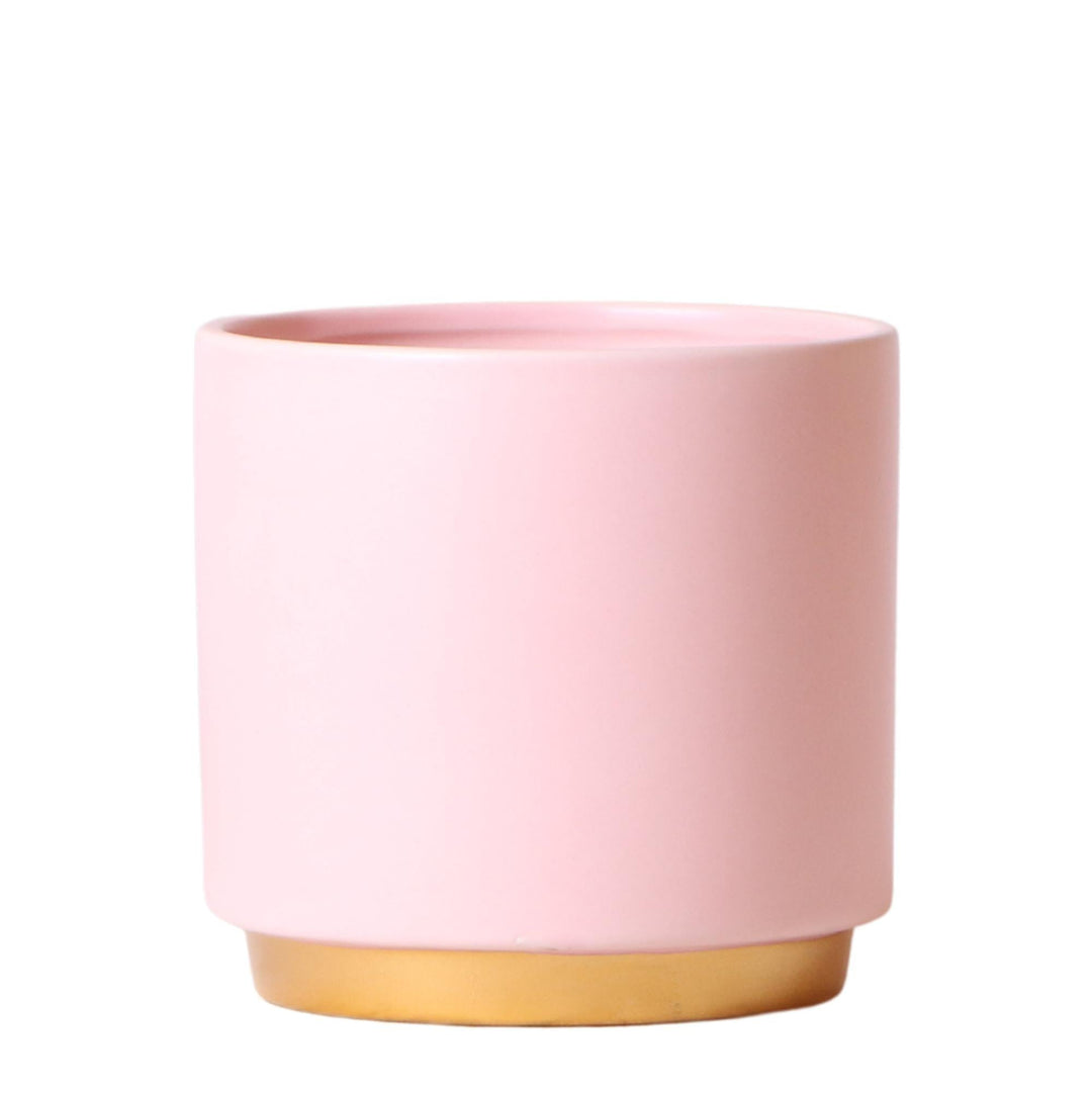Kolibri Home | Goldfuß rosa Blumentopf - Rosa Keramiktopf mit goldenem Rand - Topfgröße Ø12cm-Plant-Botanicly