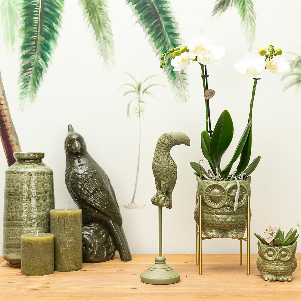 Kolibri Home | Ornament - Deko-Skulptur Tukan grün-Plant-Botanicly